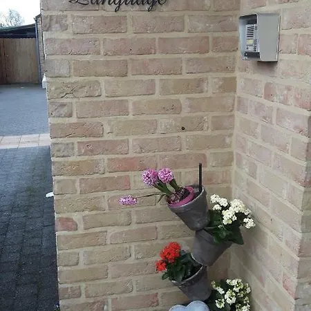 Hemelse Helderheid *